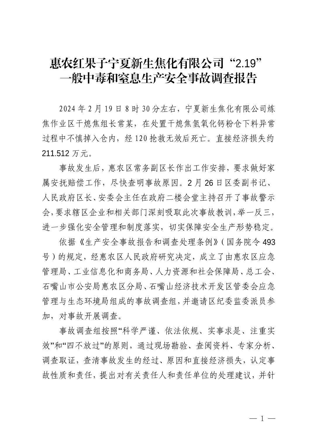 惠農(nóng)紅果子寧夏新生焦化有限公司“2.19”一般中毒和窒息生產(chǎn)安全事故調(diào)查報告