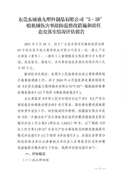 東莞東城盛九塑料制品有限公司“5·28”一般機械傷害事故防范整改措施和責(zé)任追究落實情況評估報告