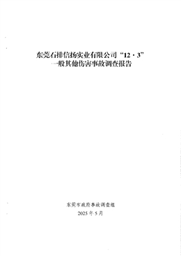 東莞石排信揚實業(yè)有限公司“12·3”一般其他傷害事故調(diào)查報告