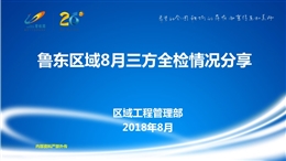 標(biāo)桿房企第三方檢測評估檢查標(biāo)準(zhǔn)及問題展示