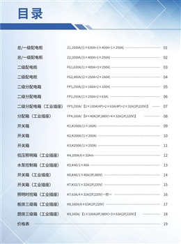 2024版施工現(xiàn)場臨時用電配電箱選型圖冊，最全型號實物圖+線路圖！